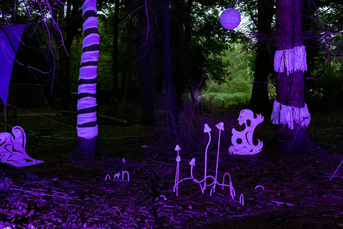 Harlequin Fayre - The Glade