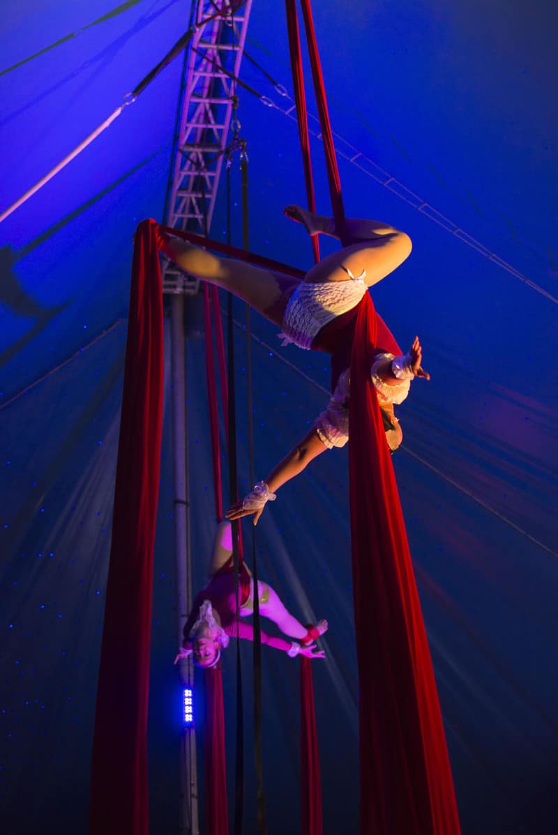 Harlequin Fayre - Cabaret