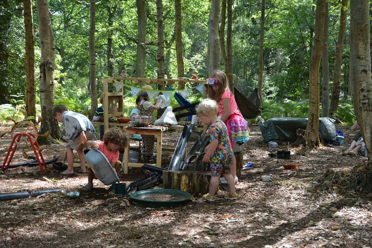 Harlequin Fayre - Woodland Area