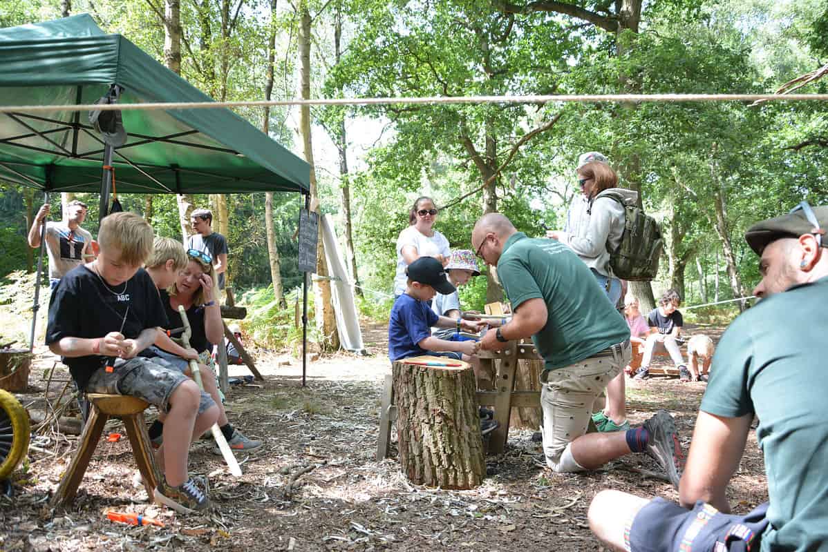 Harlequin Fayre - Woodland Area