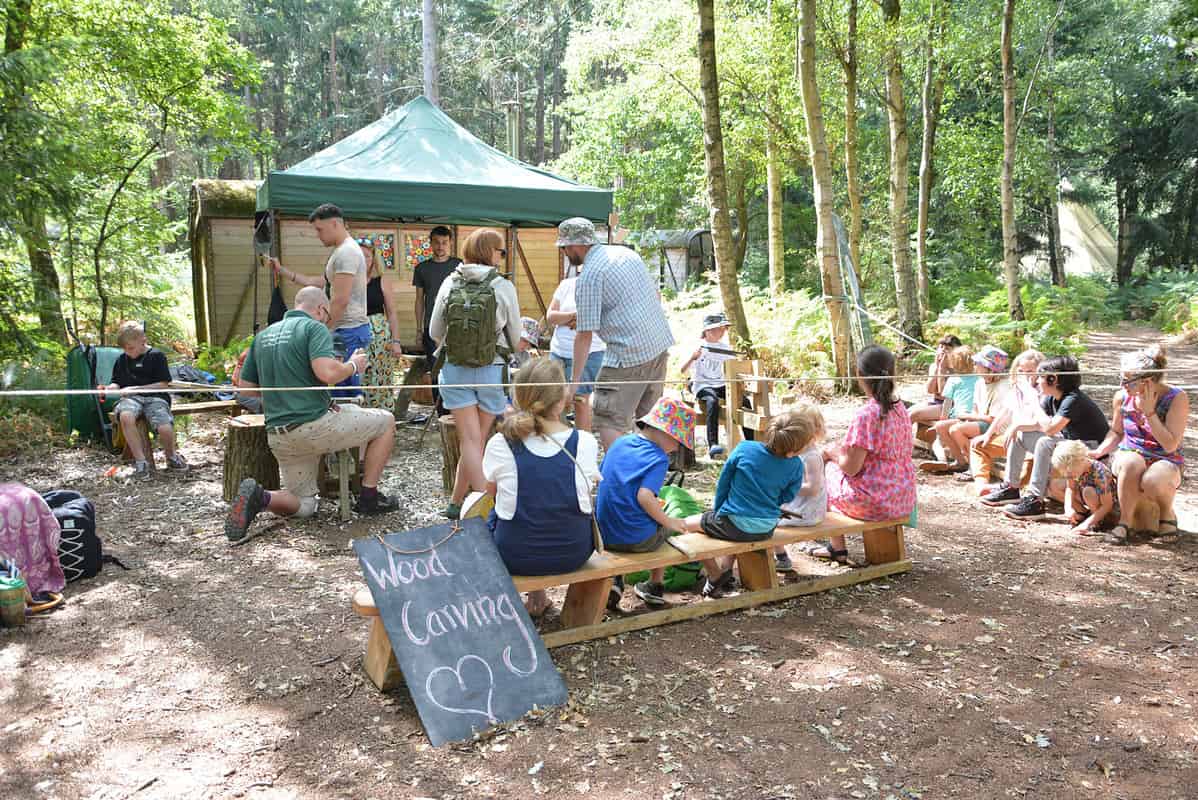 Harlequin Fayre - Woodland Area