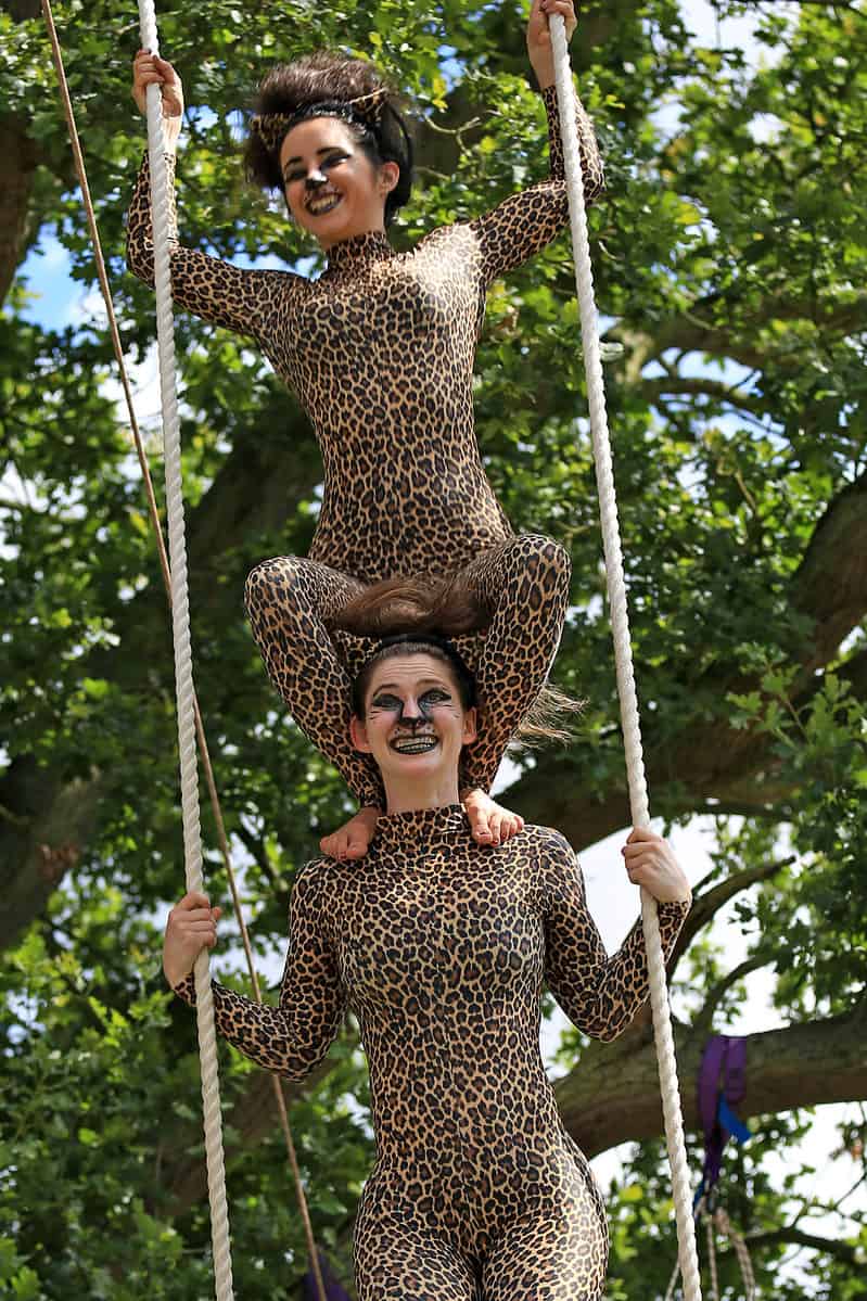 Harlequin Fayre - Cabaret