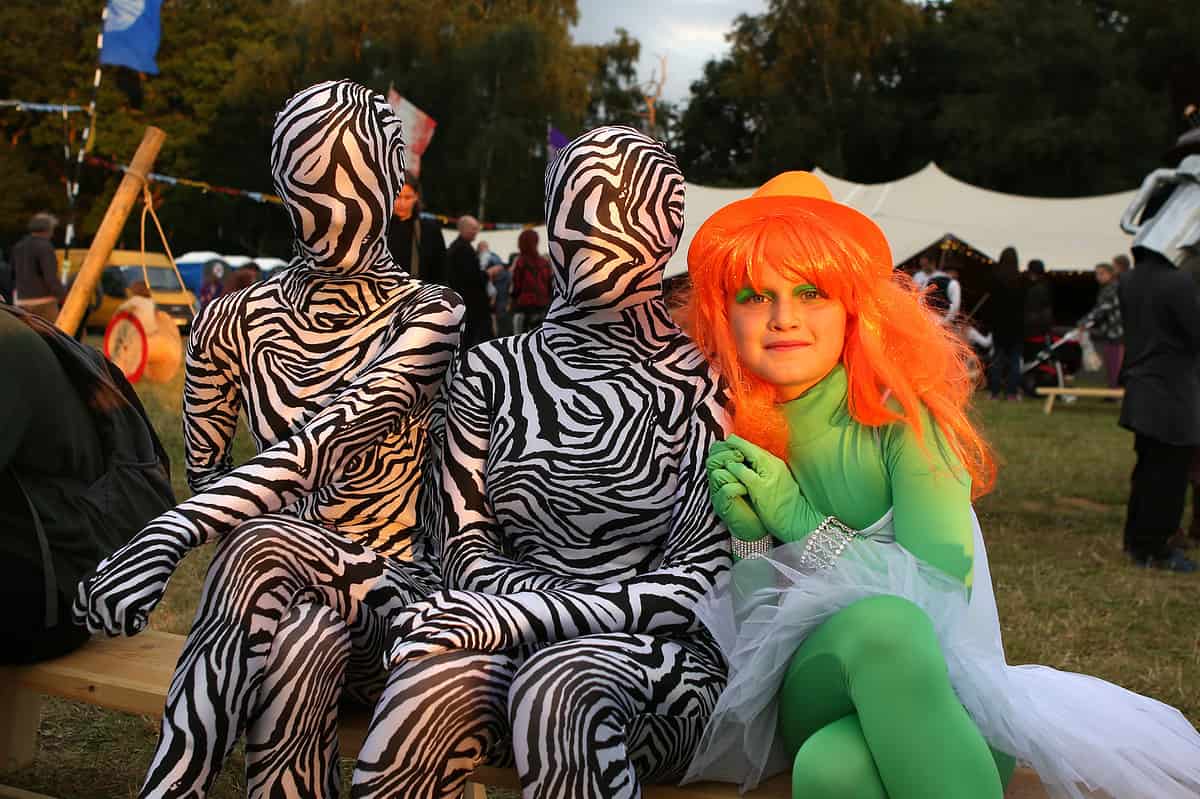 Harlequin Fayre