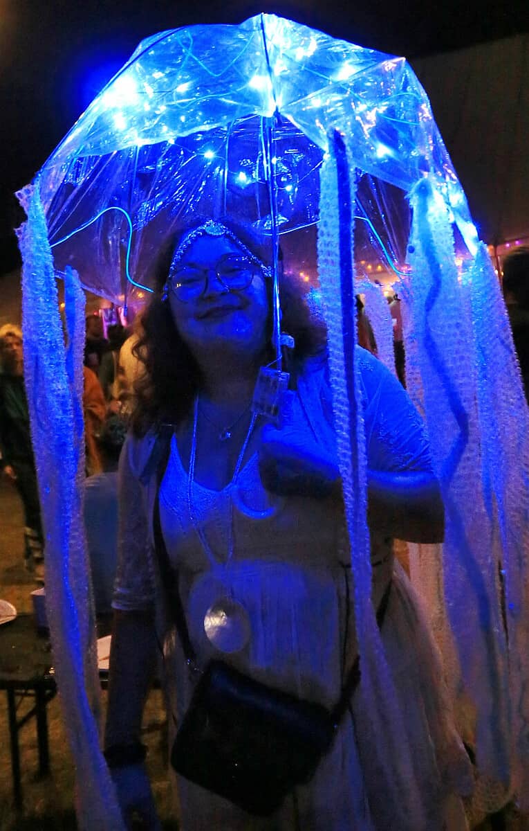 Harlequin Fayre