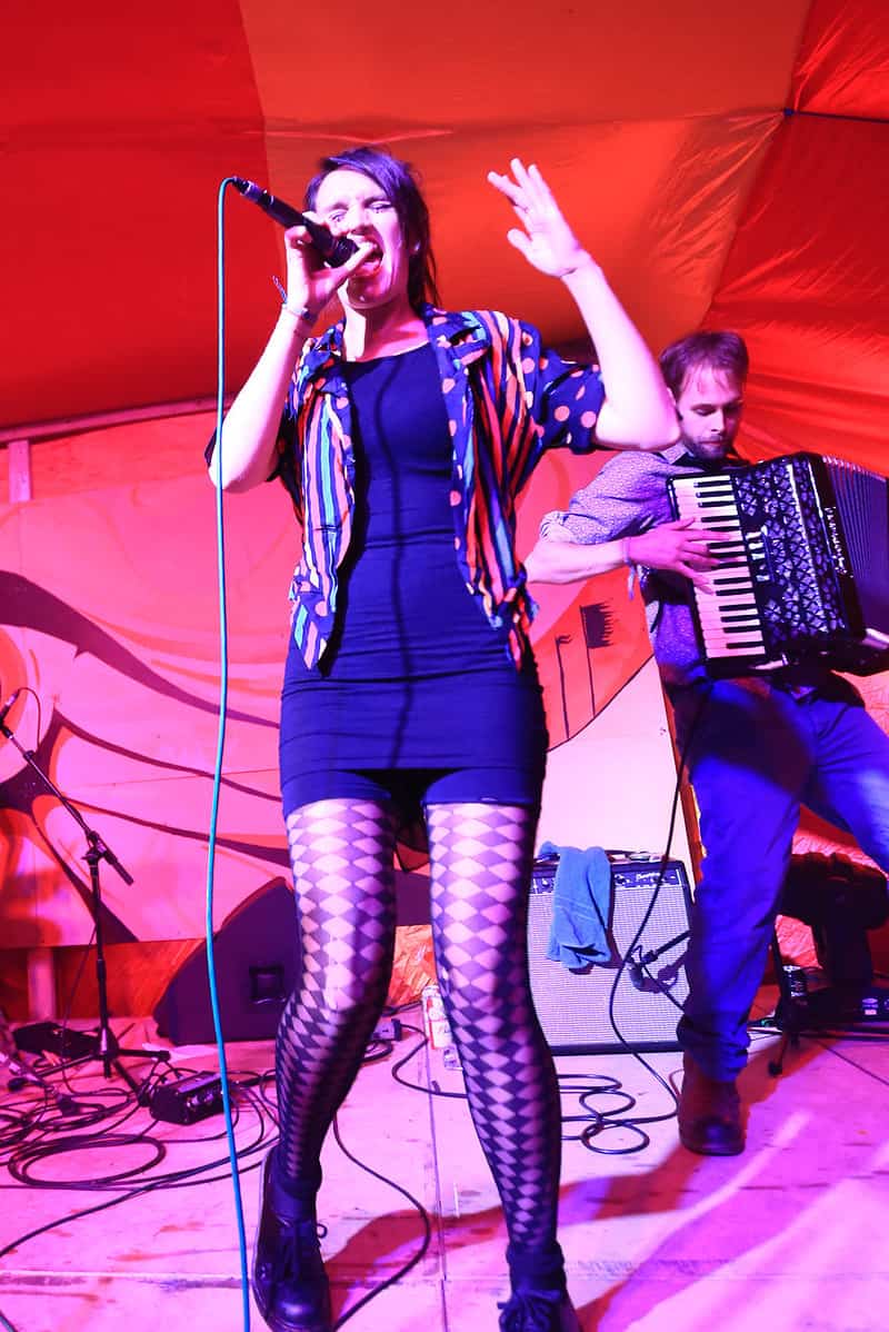 Harlequin Fayre