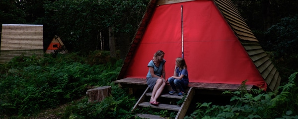 Harlequin Fayre - bird house glamping